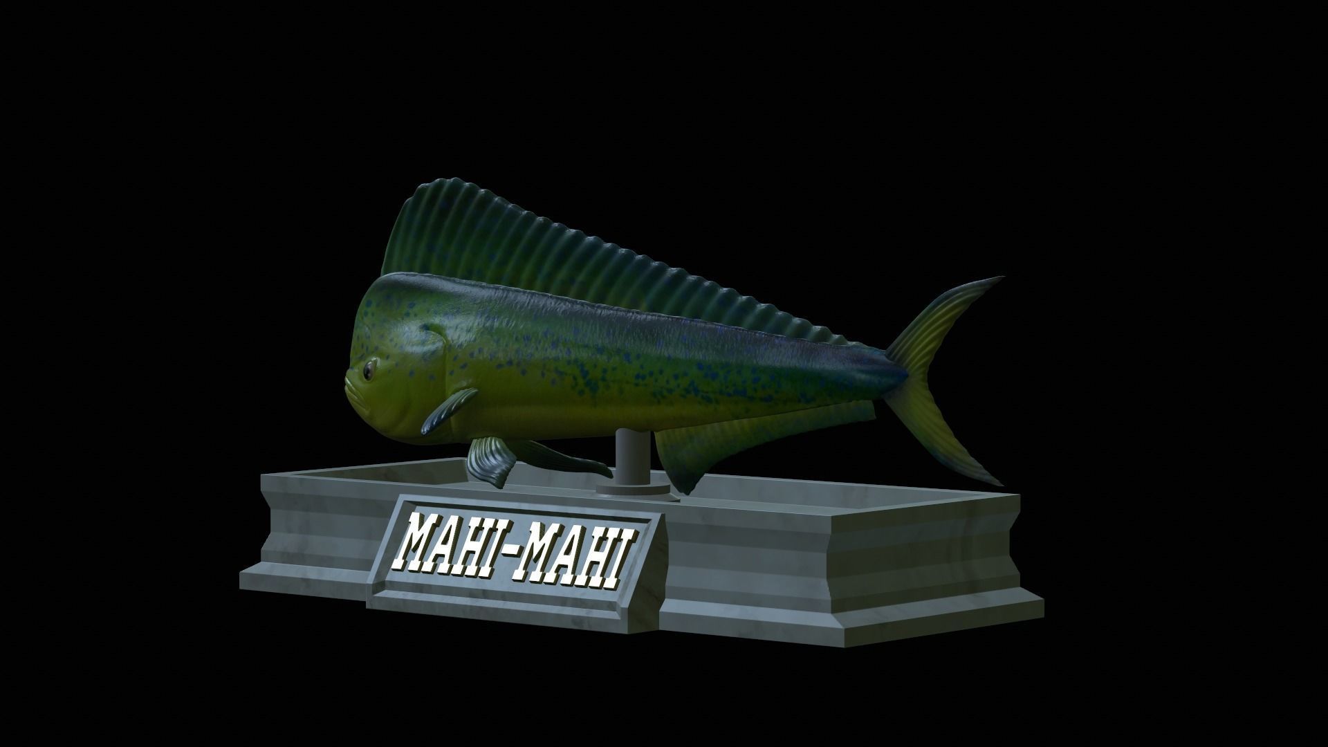 fish mahi mahi statue detailed texture 3D print model_8