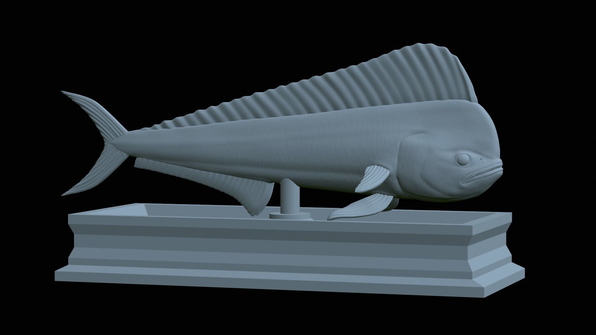 fish mahi mahi statue detailed texture 3D print model_20