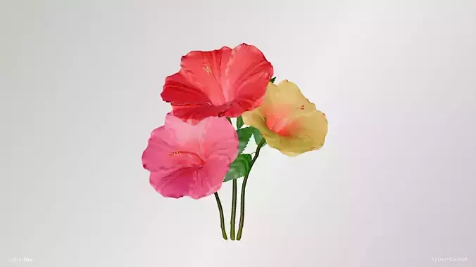 Hibiscus Flower In 3 Colors Low-poly 3D model