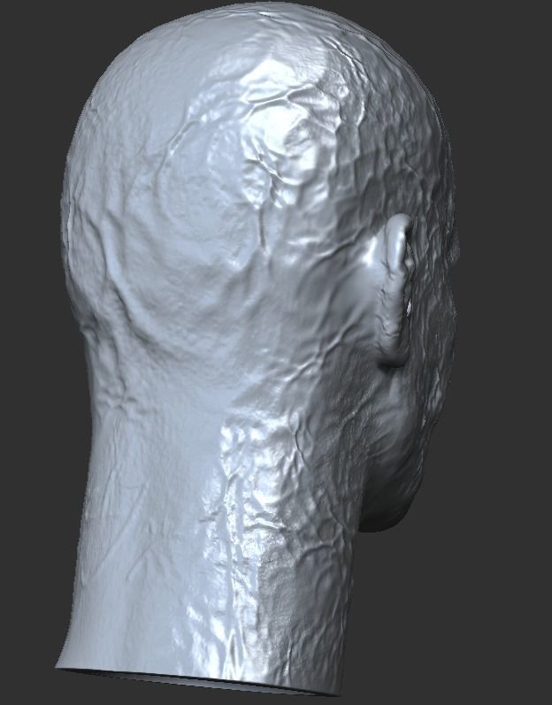 Ryan Reynolds - DEADPOOL inspired face head 3D print model 3D print model_5