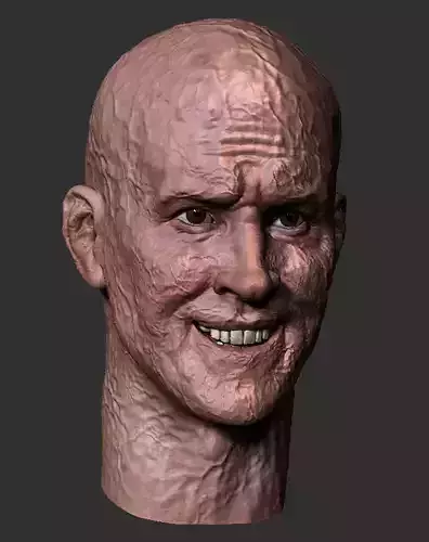 Ryan Reynolds - DEADPOOL inspired face head 3D print model