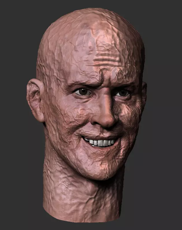 Ryan Reynolds - DEADPOOL inspired face head 3D print model 3D print model_0