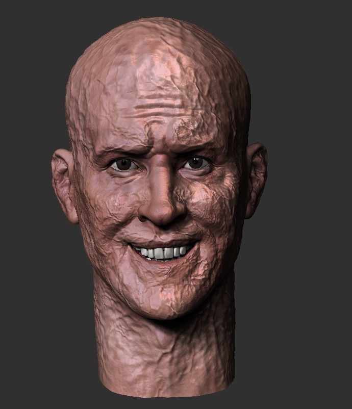 Ryan Reynolds - DEADPOOL inspired face head 3D print model 3D print model_1