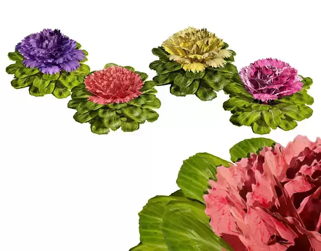 Cabbage Flowers 3D Model Low-poly 3D model