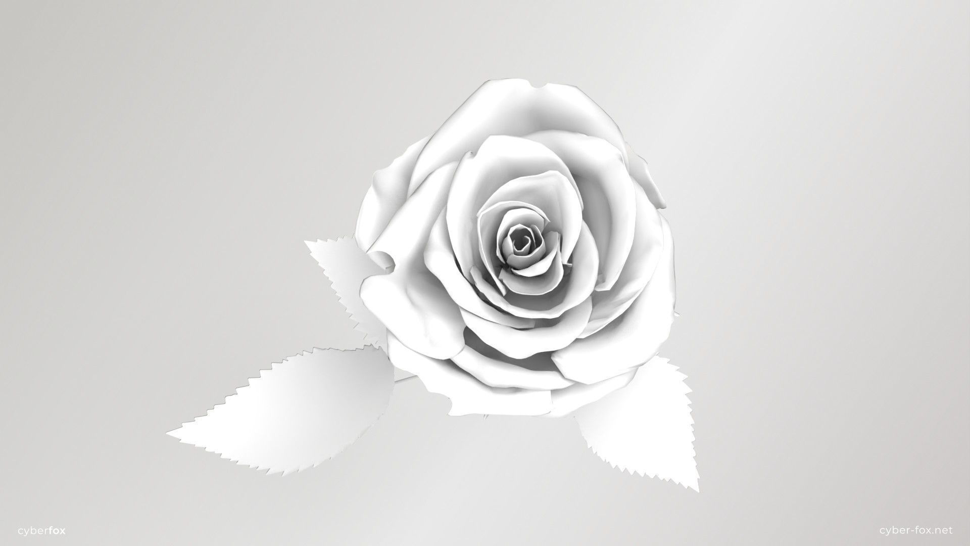 Rose Flower In 4 Colors Low-poly 3D model_12