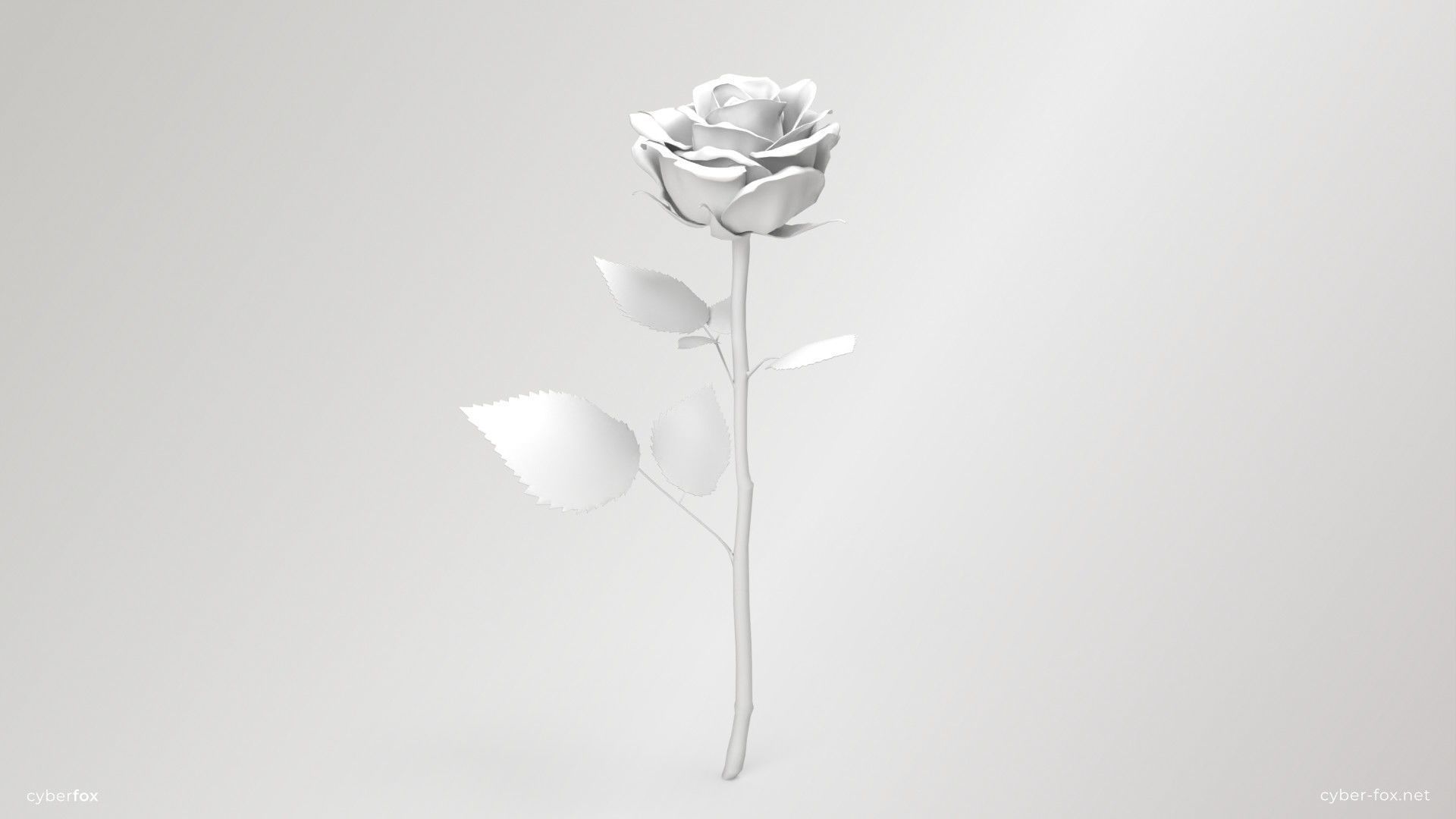 Rose Flower In 4 Colors Low-poly 3D model_16