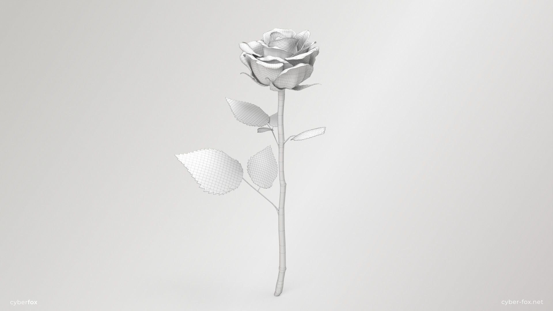 Rose Flower In 4 Colors Low-poly 3D model_15