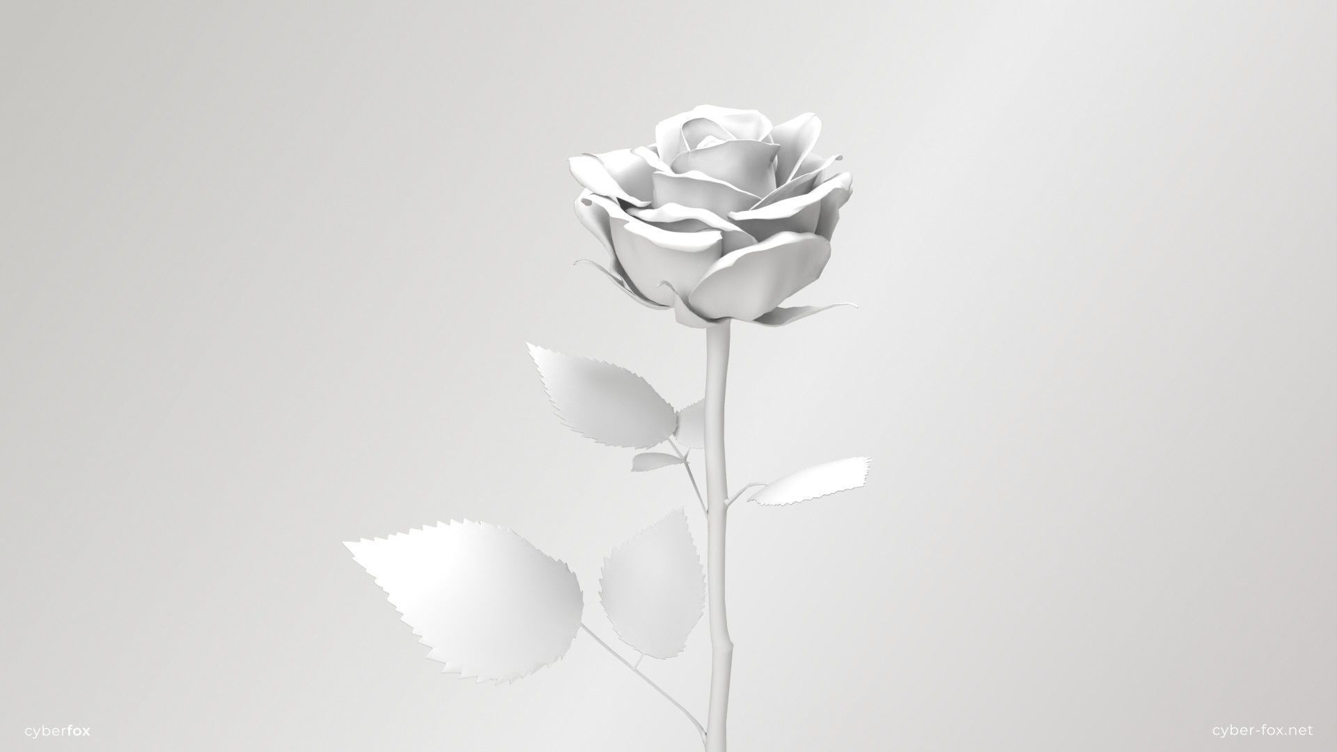 Rose Flower In 4 Colors Low-poly 3D model_14