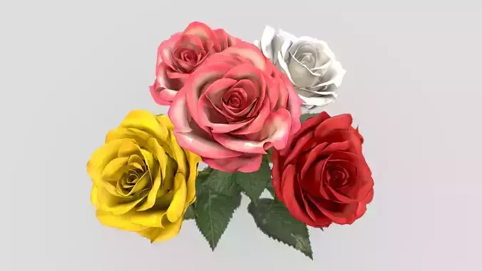Rose Flower In 4 Colors