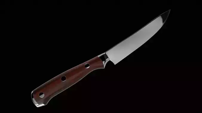 Cutlery Steak Knife