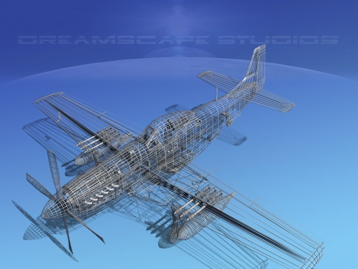 P-51D Mustang The Flying Undertaker 3D model_19