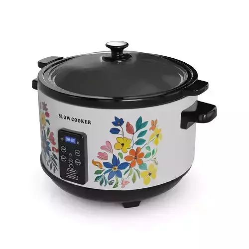 Kitchen appliances Slow Cooker