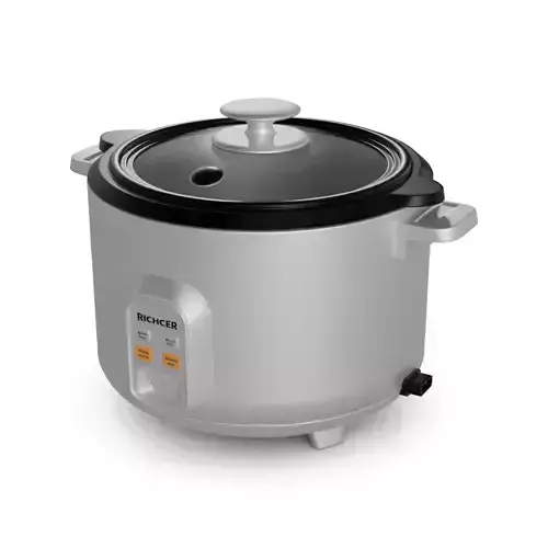 Kitchen appliances Rice Cooker
