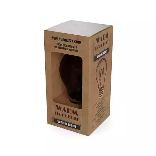 Light bulbs Incandescent Light Bulb Low-poly 3D model