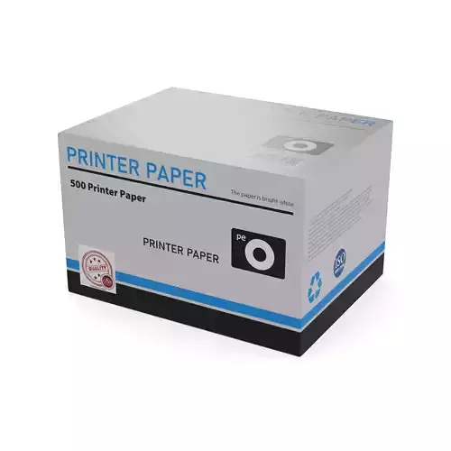 Paper paper products Printer Paper