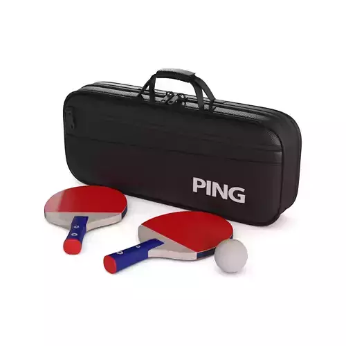 Table games Ping Pong Paddle Set 3D model