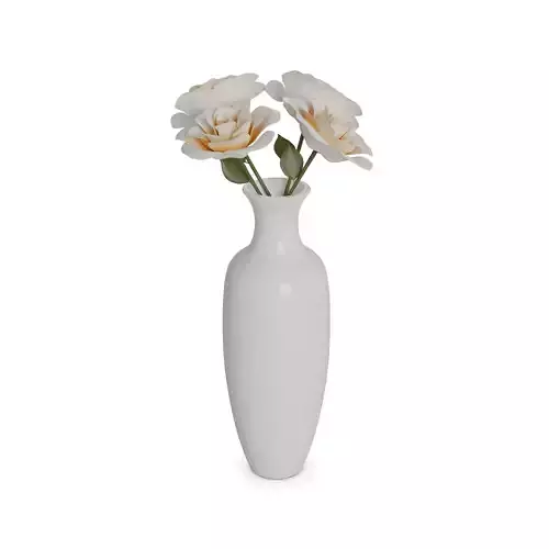 Home decorations Ceramic Vase