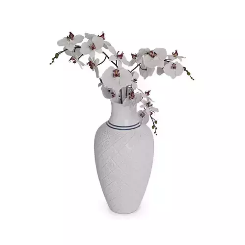 Home decorations Ceramic Vase