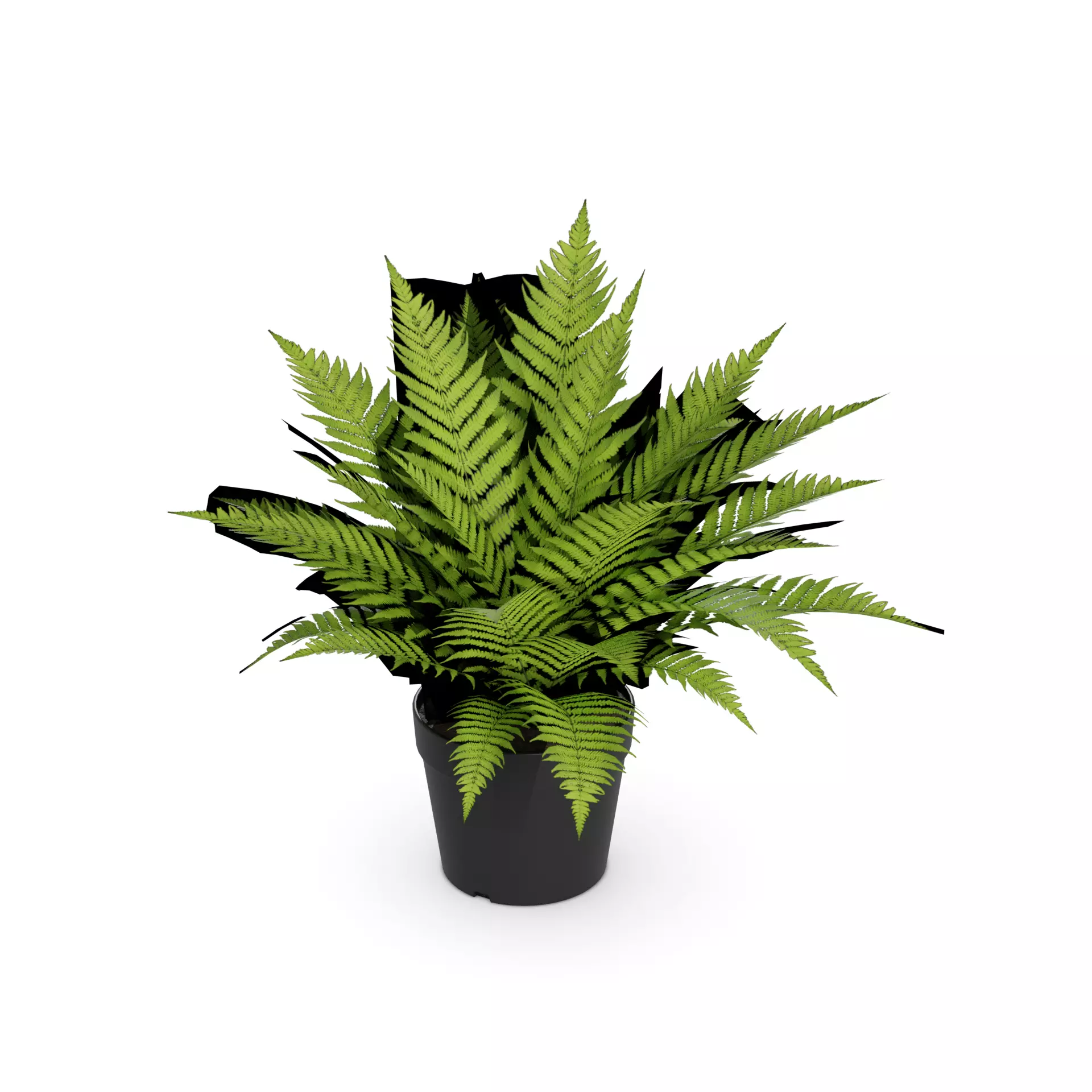 Home decorations Artificial Plant Low-poly 3D model_0