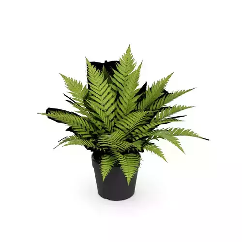 Home decorations Artificial Plant