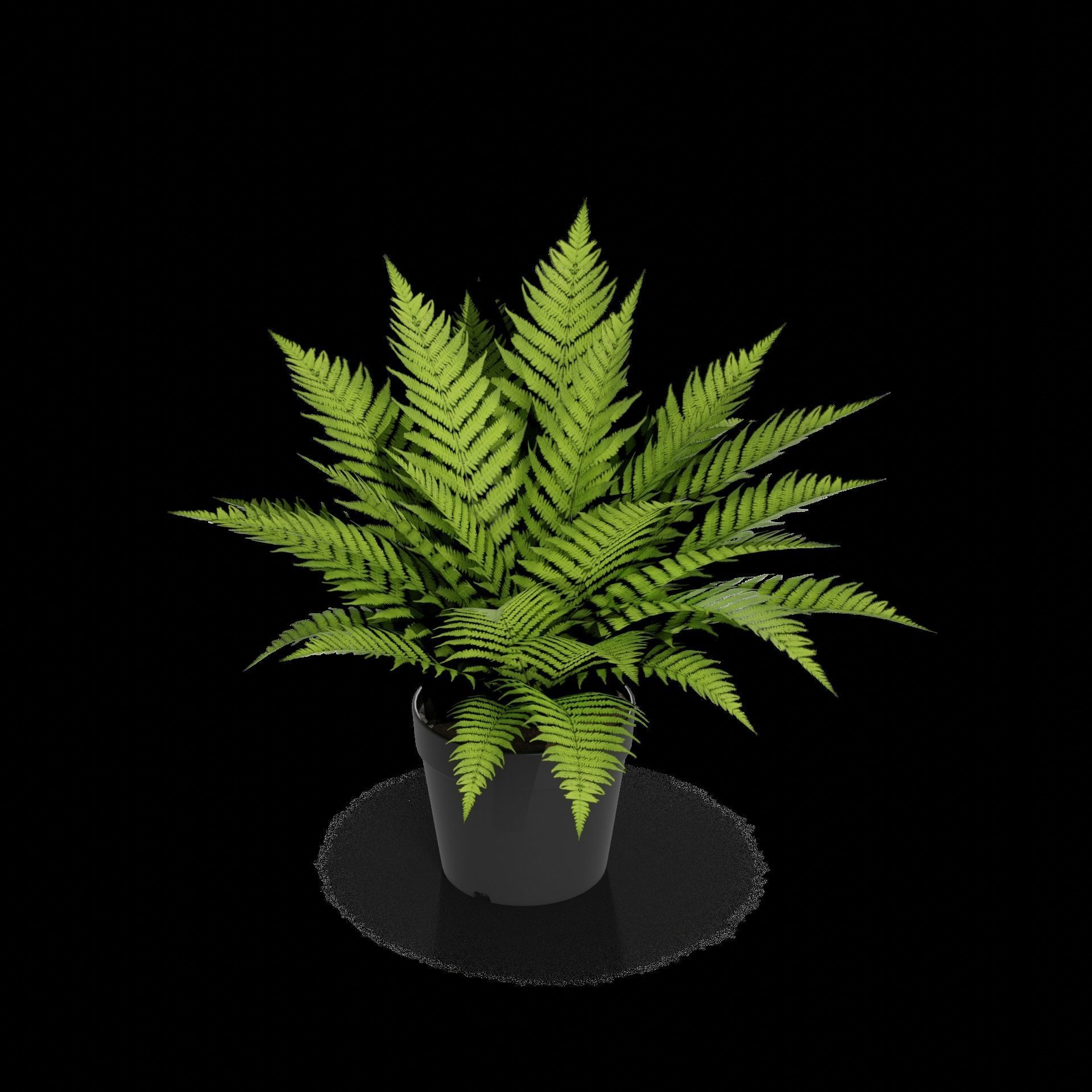 Home decorations Artificial Plant Low-poly 3D model_1