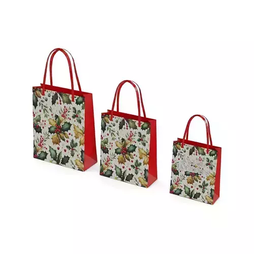 Gift Packaging Christmas Gift Bag Set