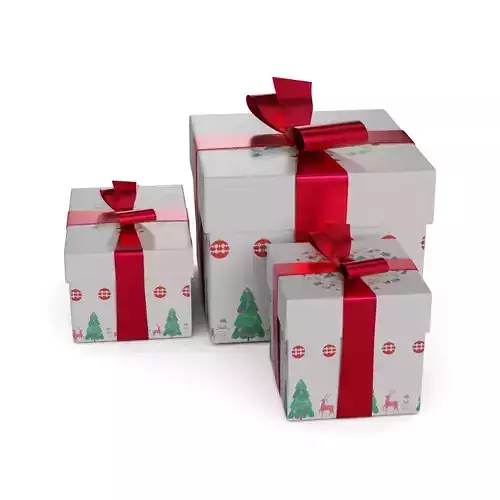 Gift Packaging Holiday Gift Box Set