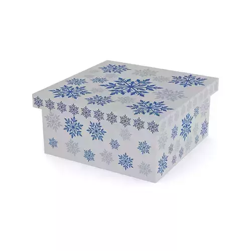 Gift Packaging Christmas Gift Box Assortment