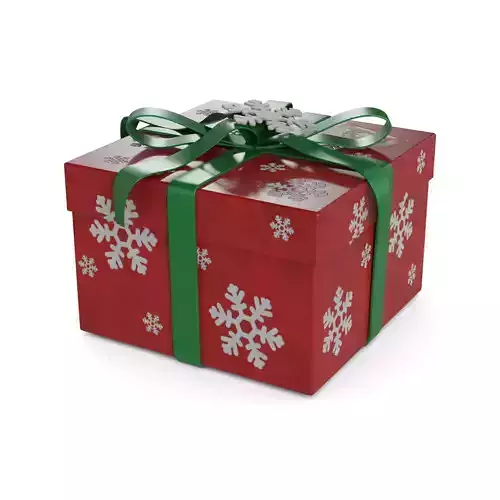 Gift Packaging Christmas Gift Box