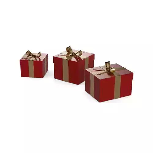 Gift Packaging Christmas Gift Box Set