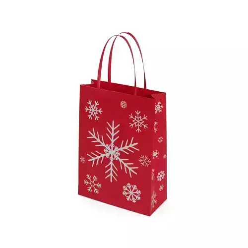 Gift Packaging Gift Bag