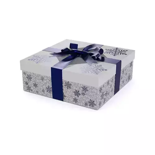 Gift Packaging Christmas Gift Box with Window 3D model