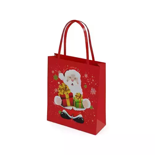 Gift Packaging Christmas Gift Bag