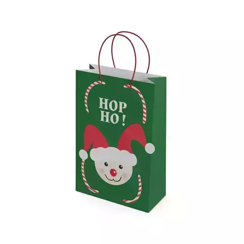 Gift Packaging Christmas Gift Bag