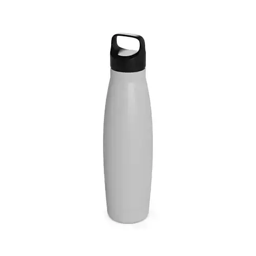 Bottles and thermos flasks Insulated Water Bottle
