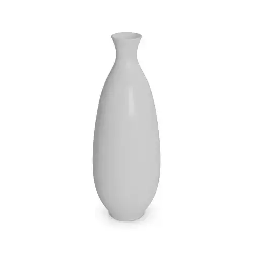 Home decorations Ceramic Vase