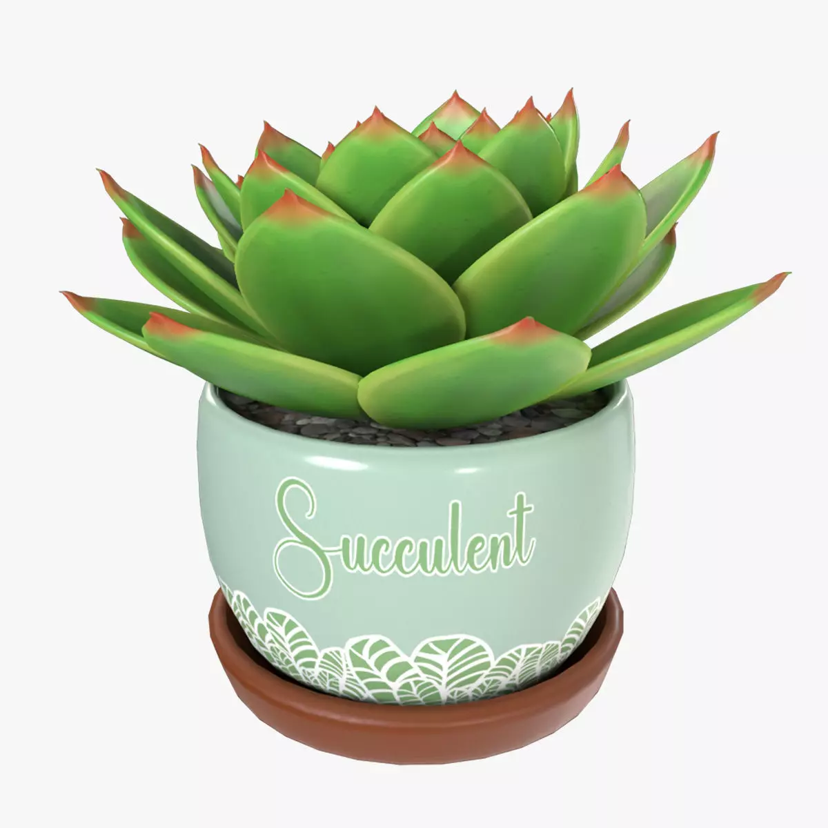 Home plants Potted Succulent Low-poly 3D model