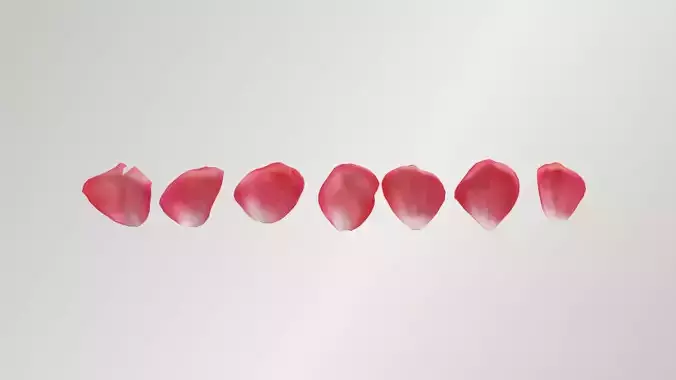 Pink Rose Petals Low-poly 3D model Pink Rose Petals Low-poly 3D model