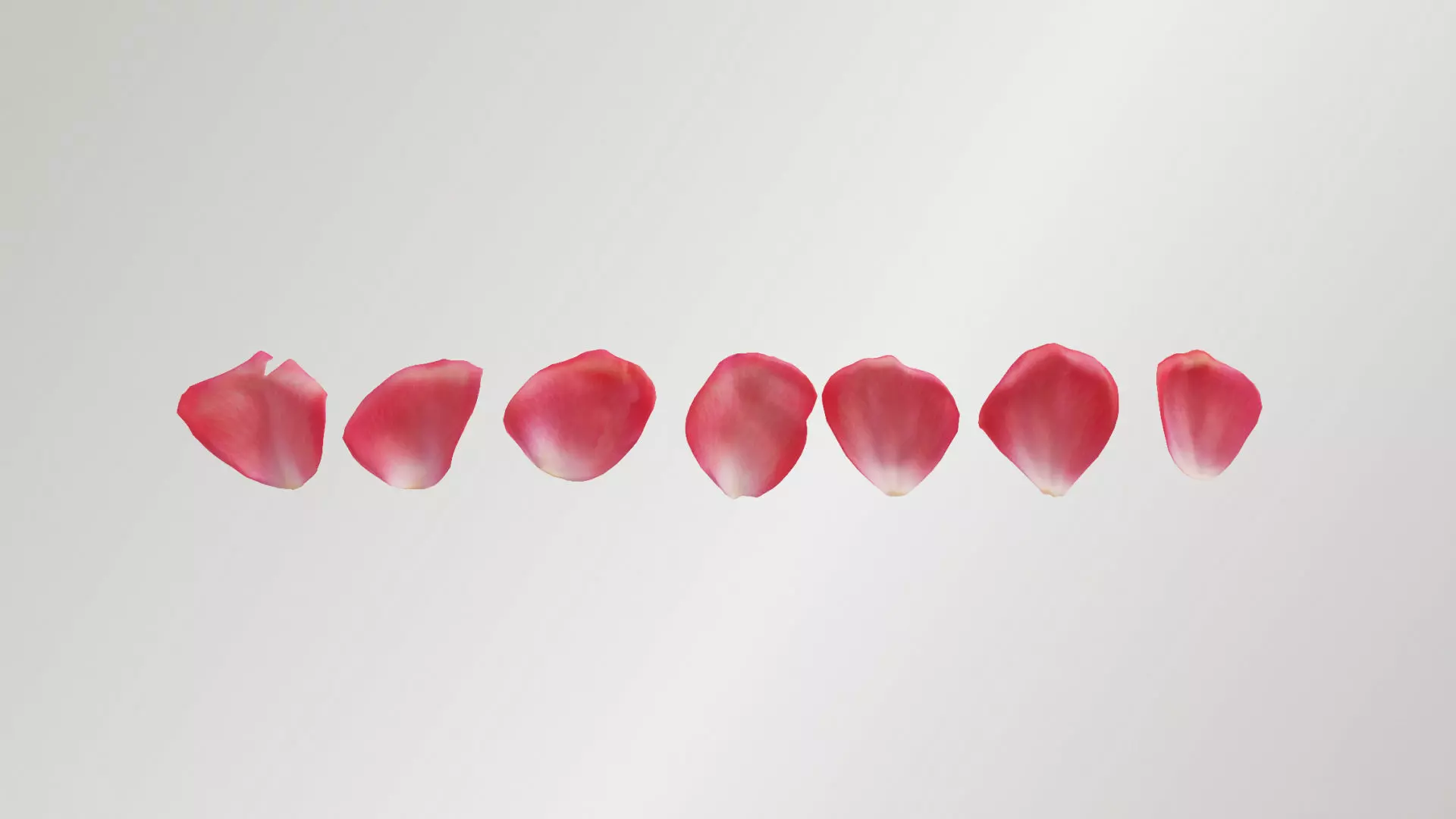 Pink Rose Petals Low-poly 3D model_0