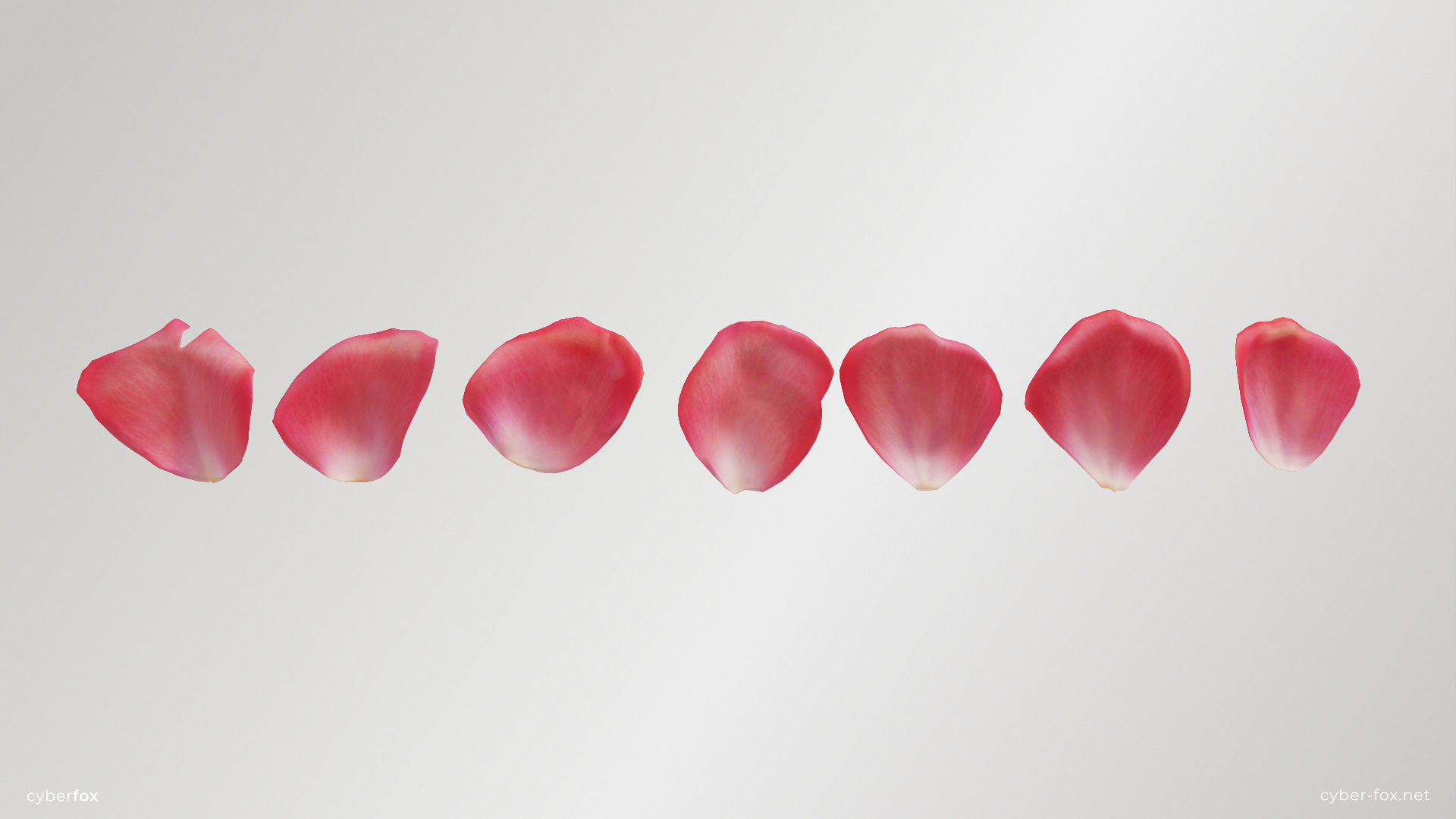 Pink Rose Petals Low-poly 3D model_2