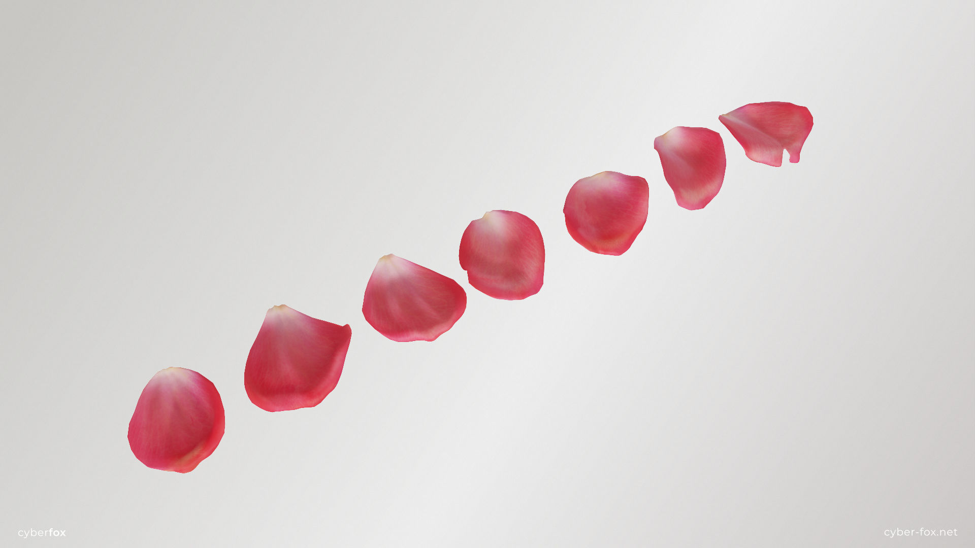 Pink Rose Petals Low-poly 3D model_3