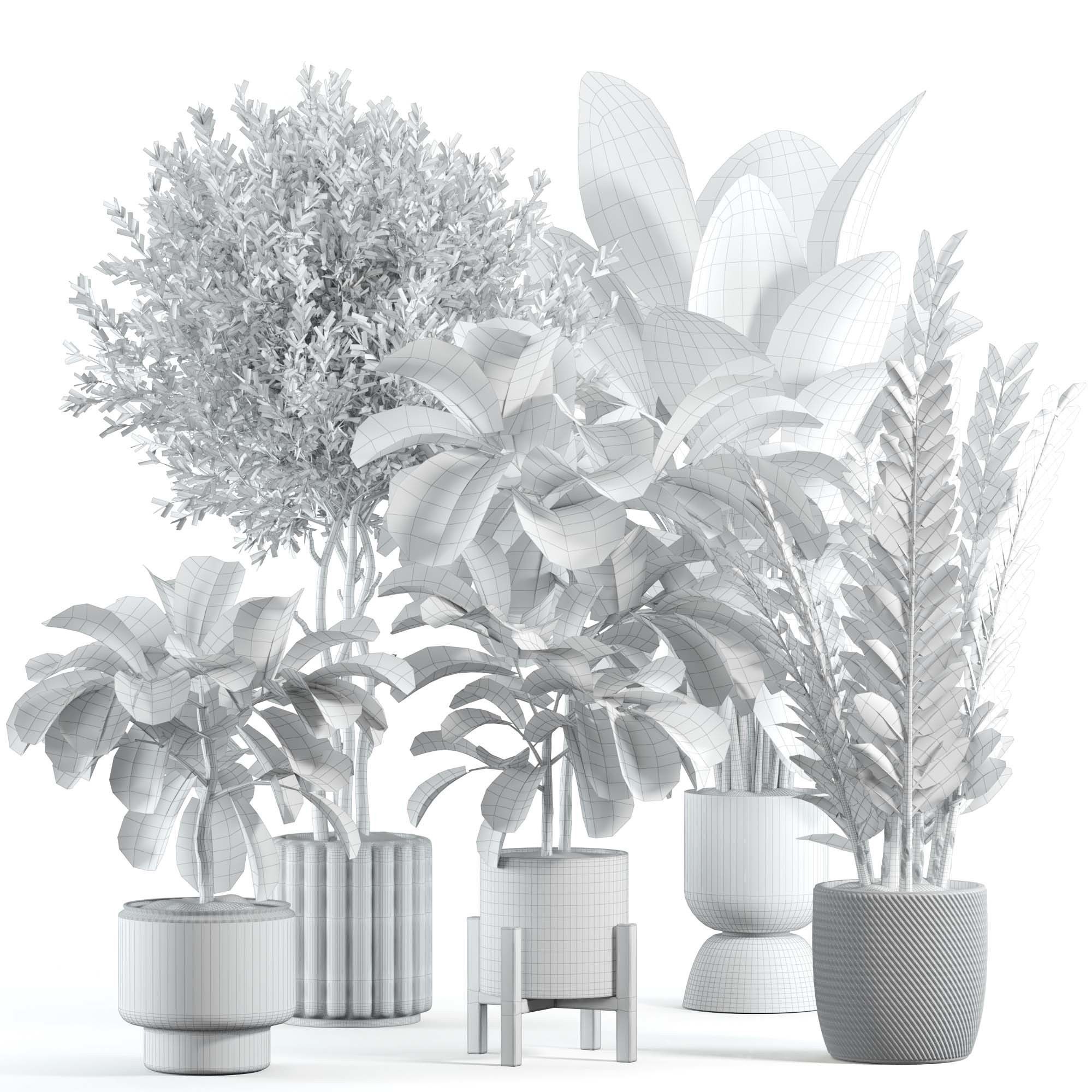 indoor plant 318 3D model_1