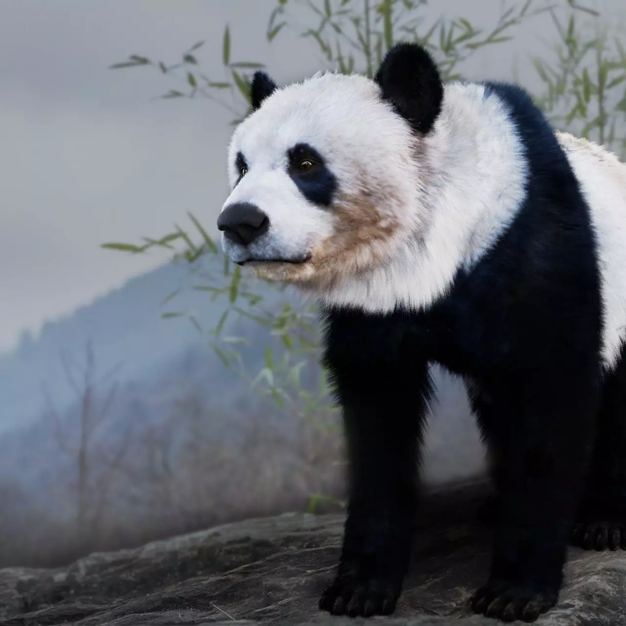 Panda Bear 3D model_0