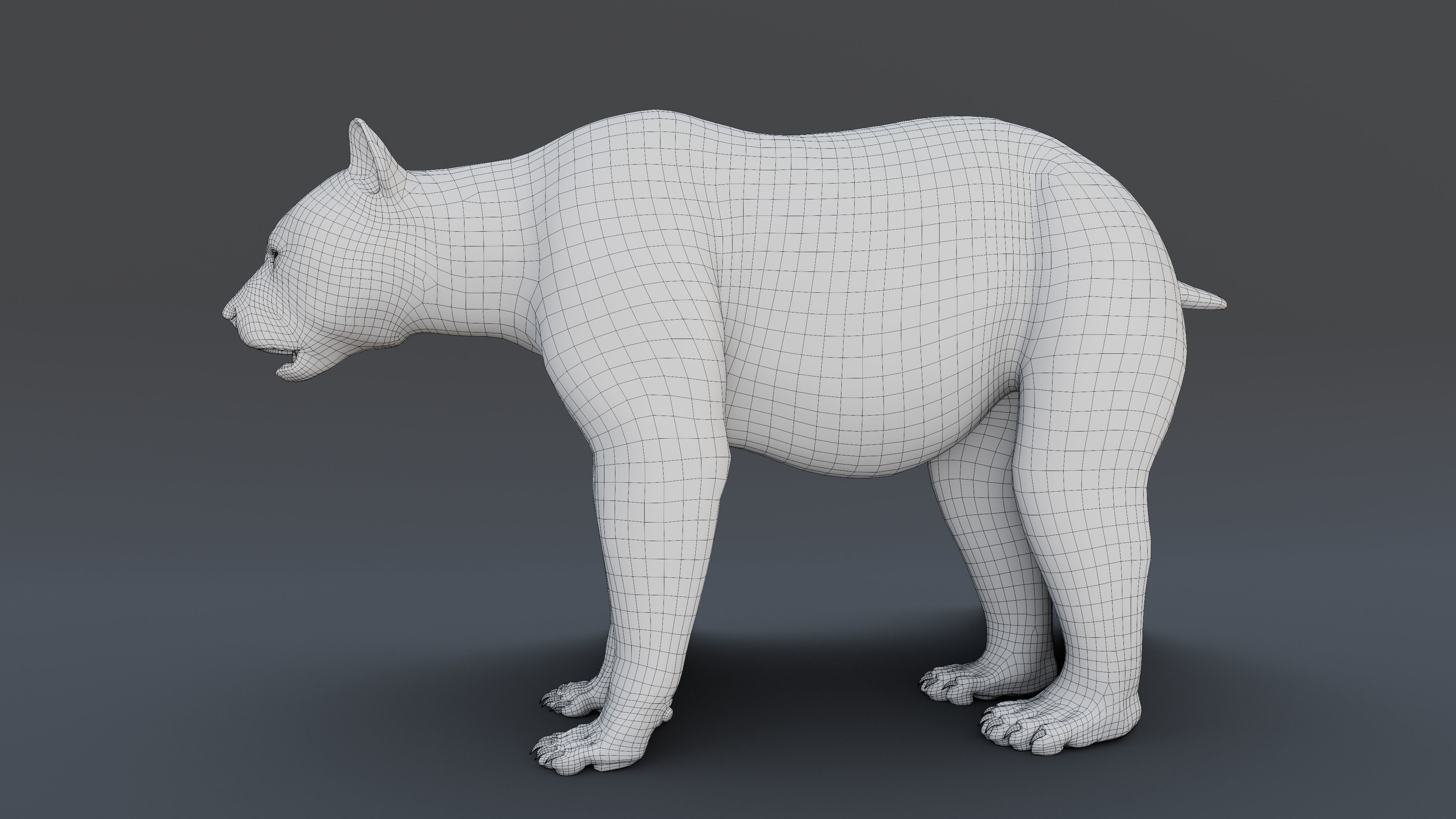Panda Bear 3D model_10