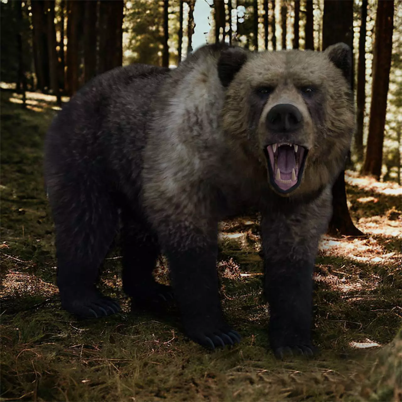 Grizzly Bear 3D model_0