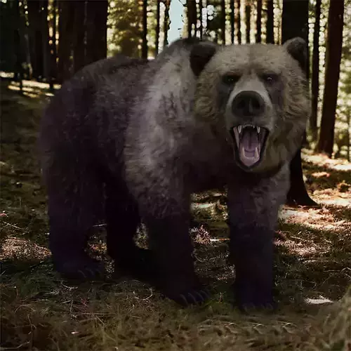 Grizzly Bear 3D model