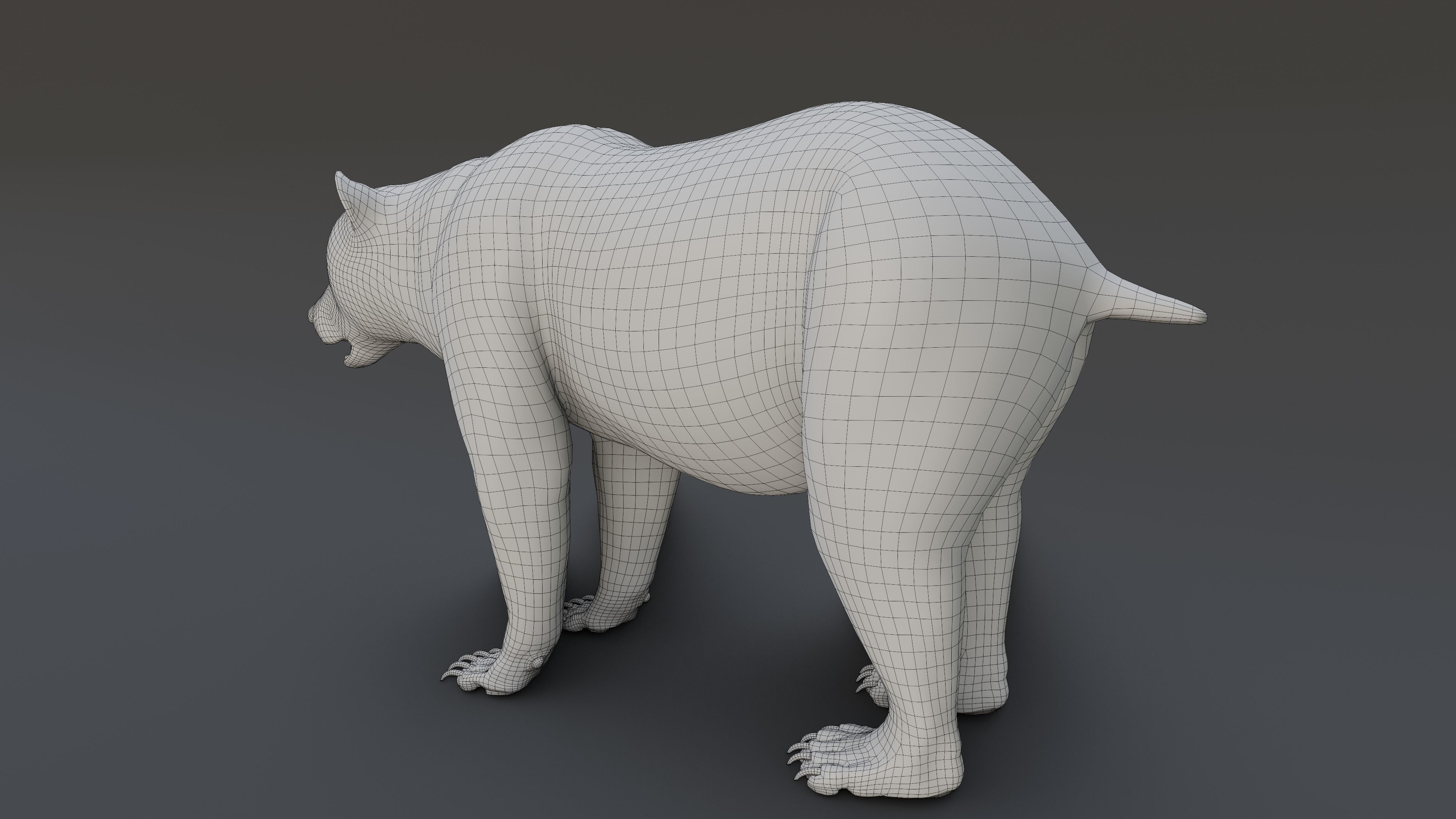 Grizzly Bear 3D model_30