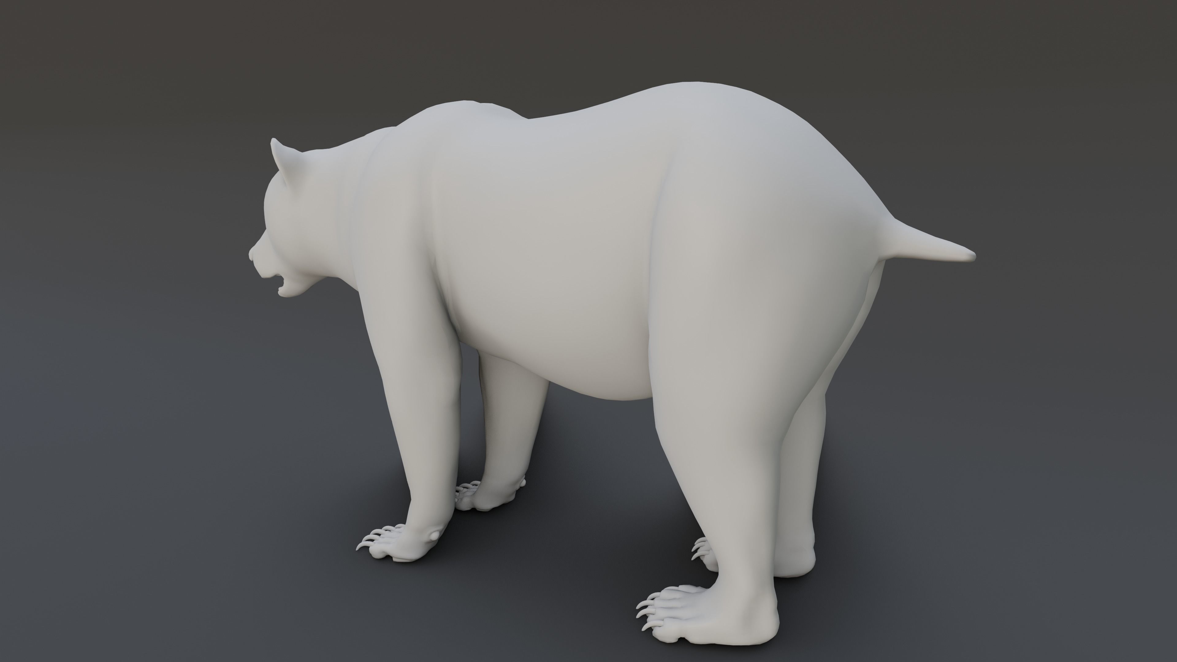 Grizzly Bear 3D model_29