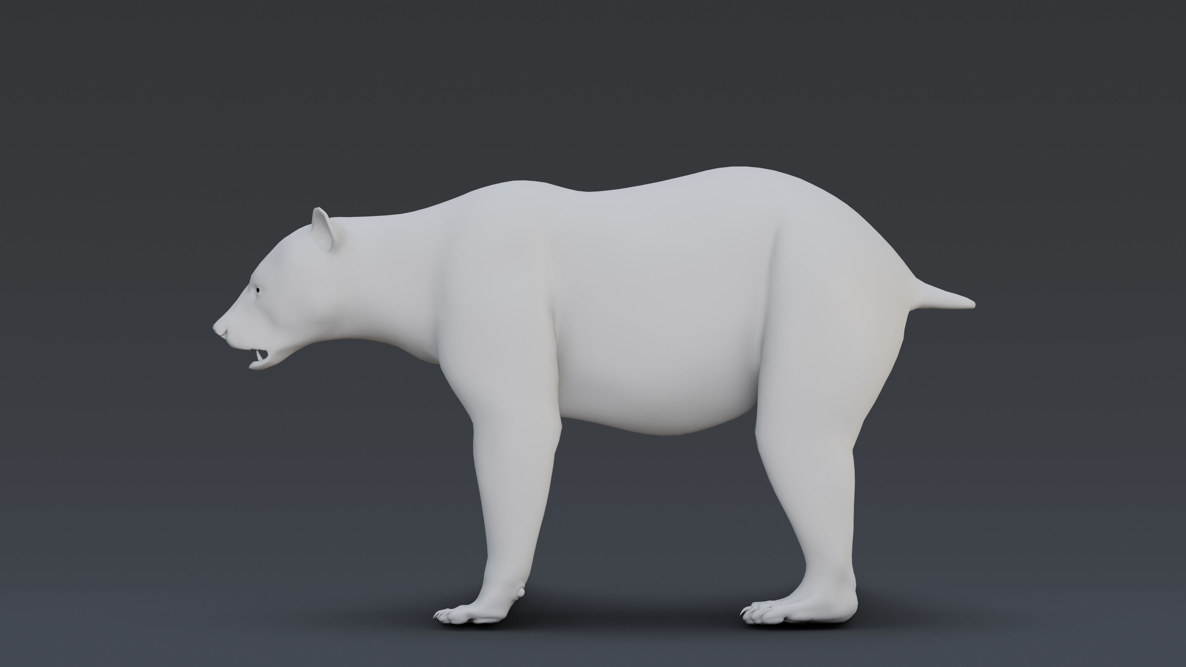 Black Bear 3D model_10