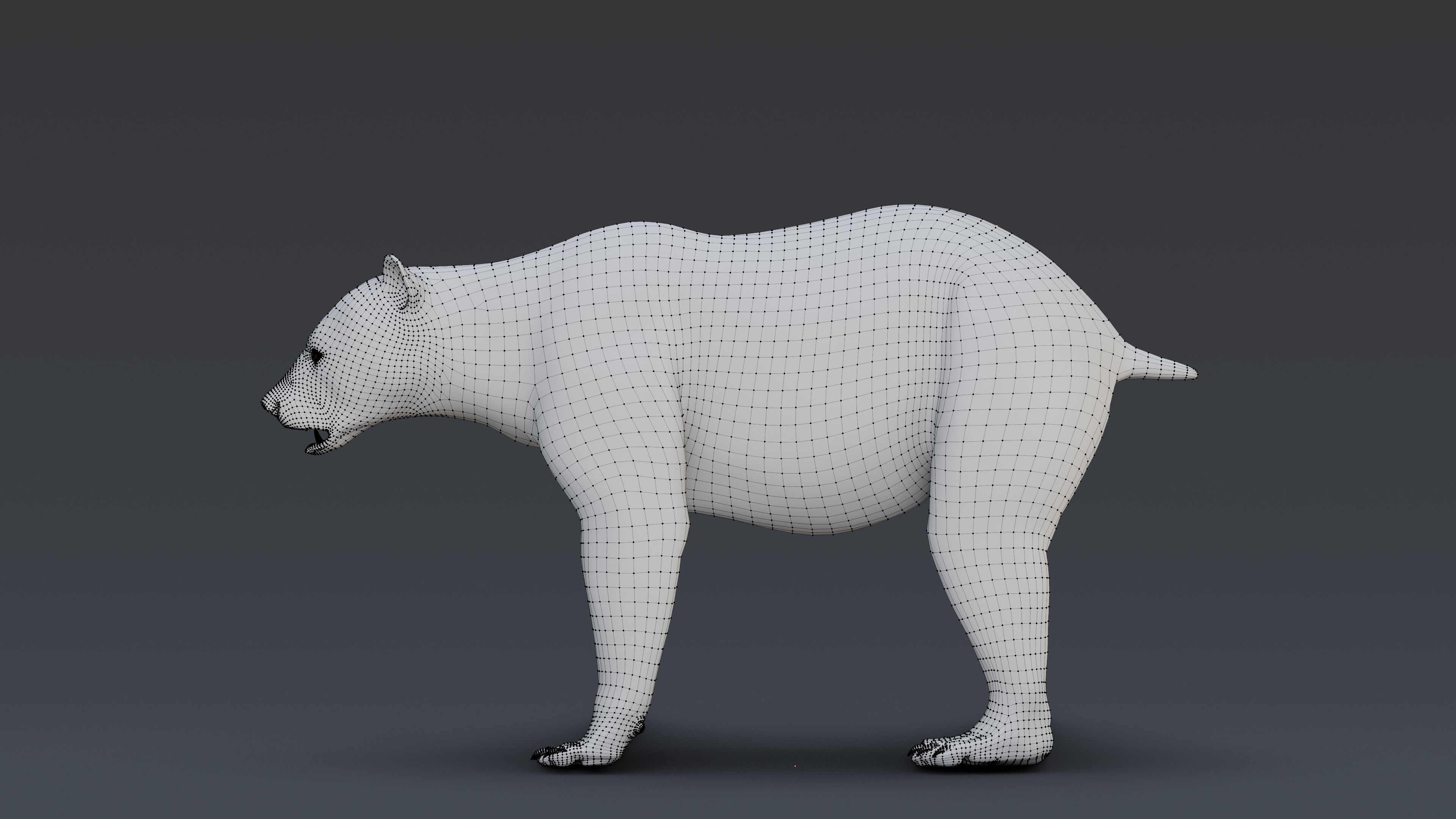 Black Bear 3D model_11